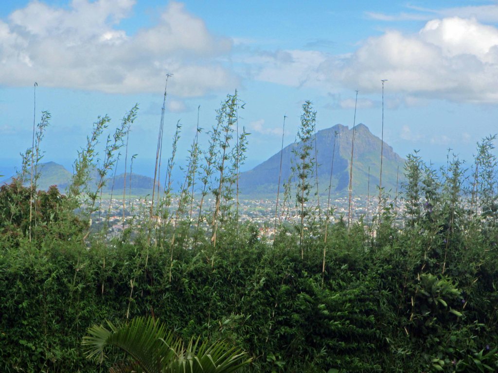 Another landscape picture... and some more foreground vegetation. 