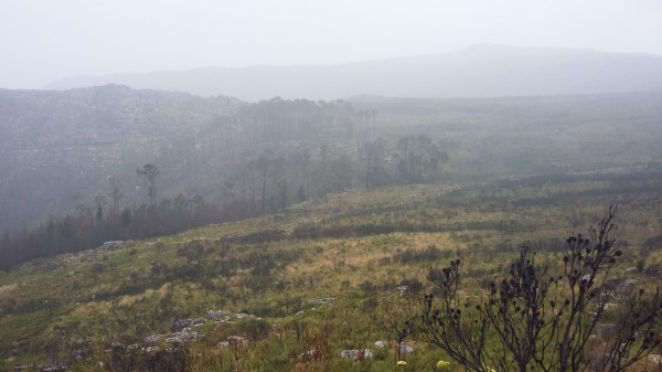 Elephant's Eye Hike #4. 