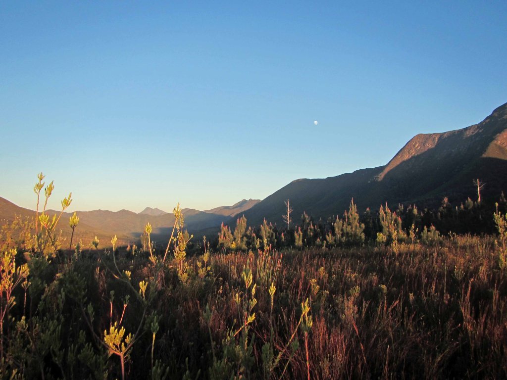 Another stunning early morning view. 