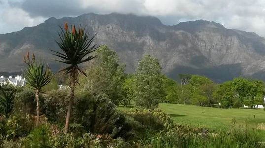 A lovely view on a lovely wine farm on a lovely day. 