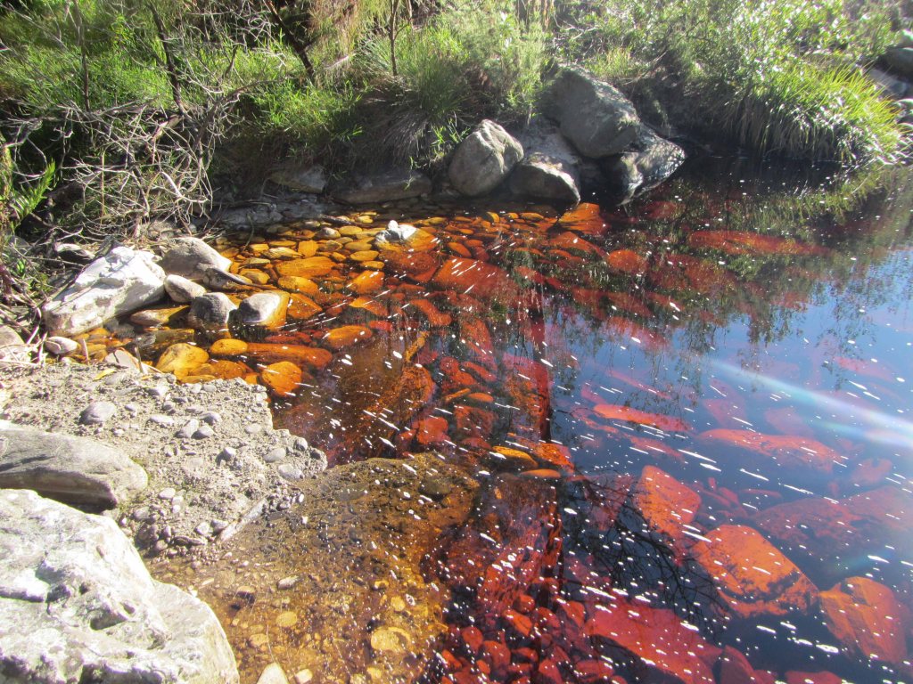 Another coca-cola colored stream. 