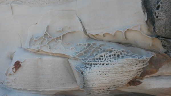 Sydney Sandstone #27. 