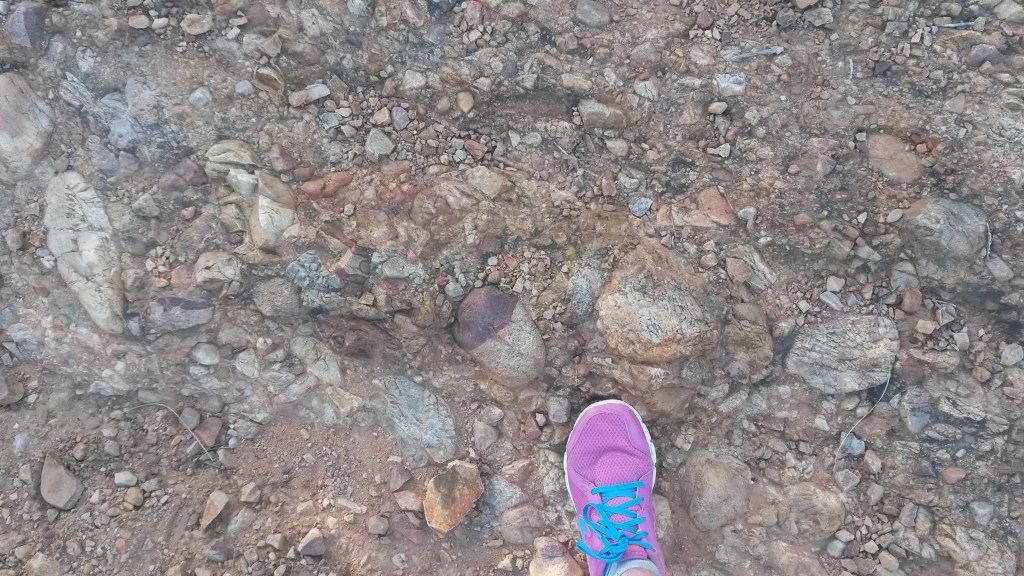 Pretty red conglomerate, with my foot for scale. 