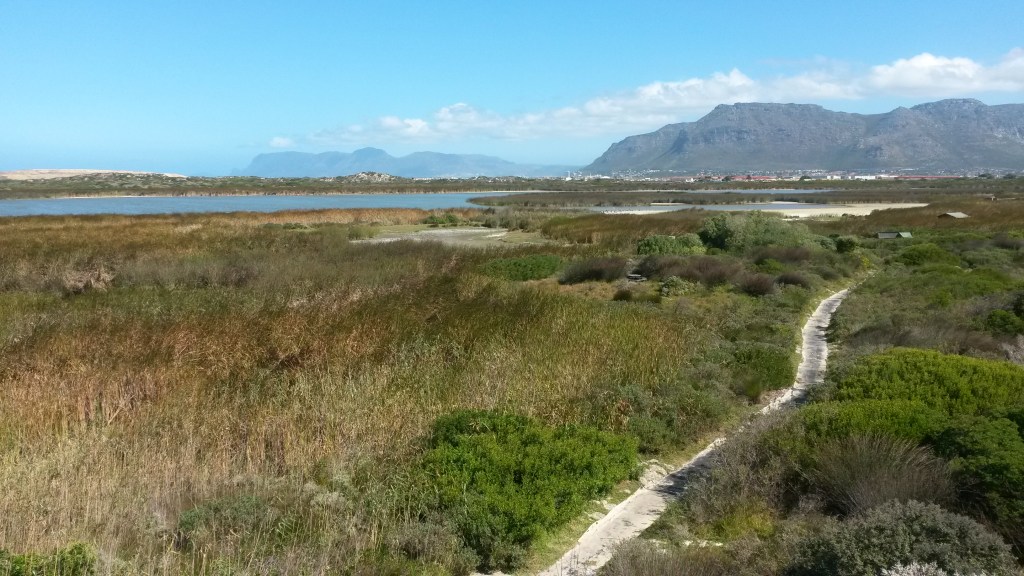 A view of some of Cape Town's mountains, with Rondevlei in the foreground. 