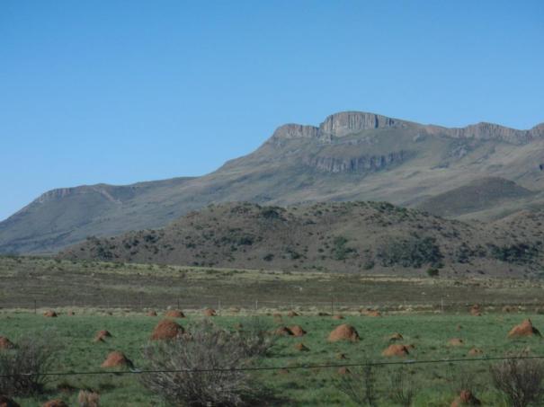 Sills on top of a hill, with termite mounds in the foreground. Picture courtesy of Ben Maton. 