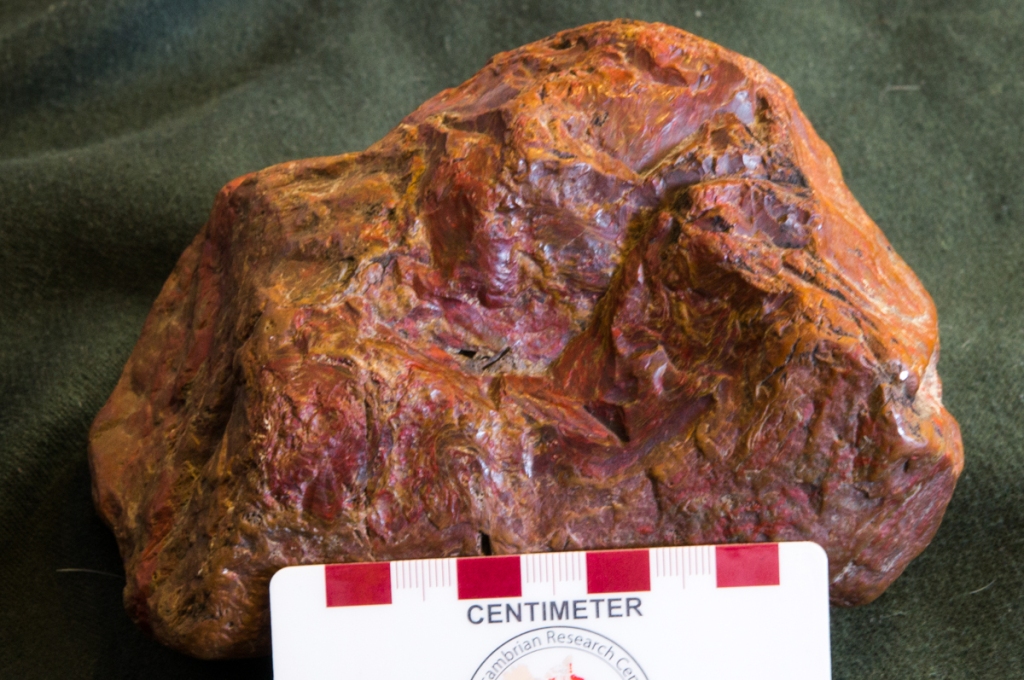 Another Jasper rock from Minnesota. Picture courtesy of Ben Chorn. 