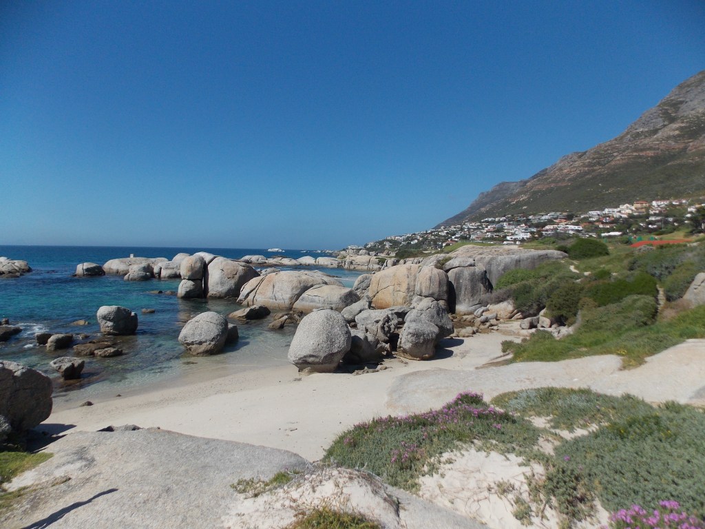 Boulders Beach #9. 