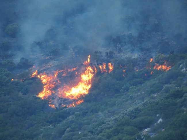Hout Bay Fire #6. Picture courtesy of Nils Backeberg. 