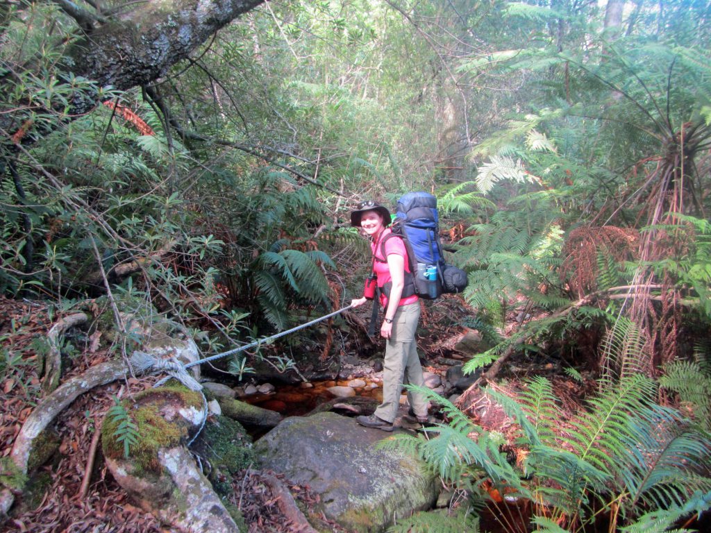 Crossing one of the rusty red streams of the forest. 