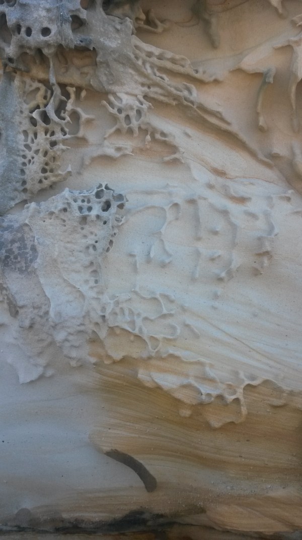 Sydney Sandstone #2. 