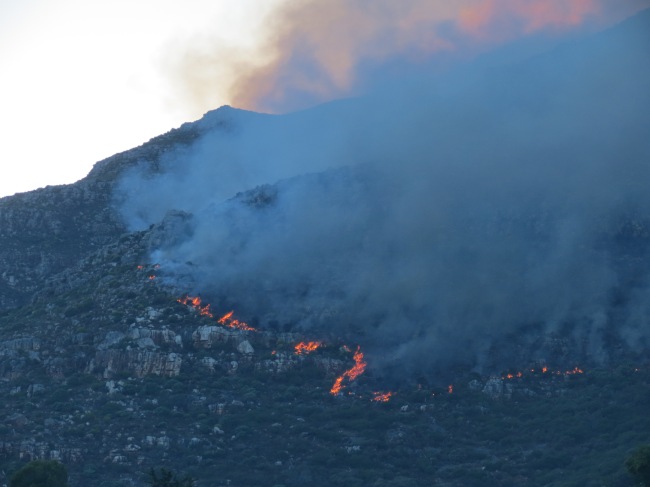 Hout Bay Fire #5. Picture courtesy of Nils Backeberg. 