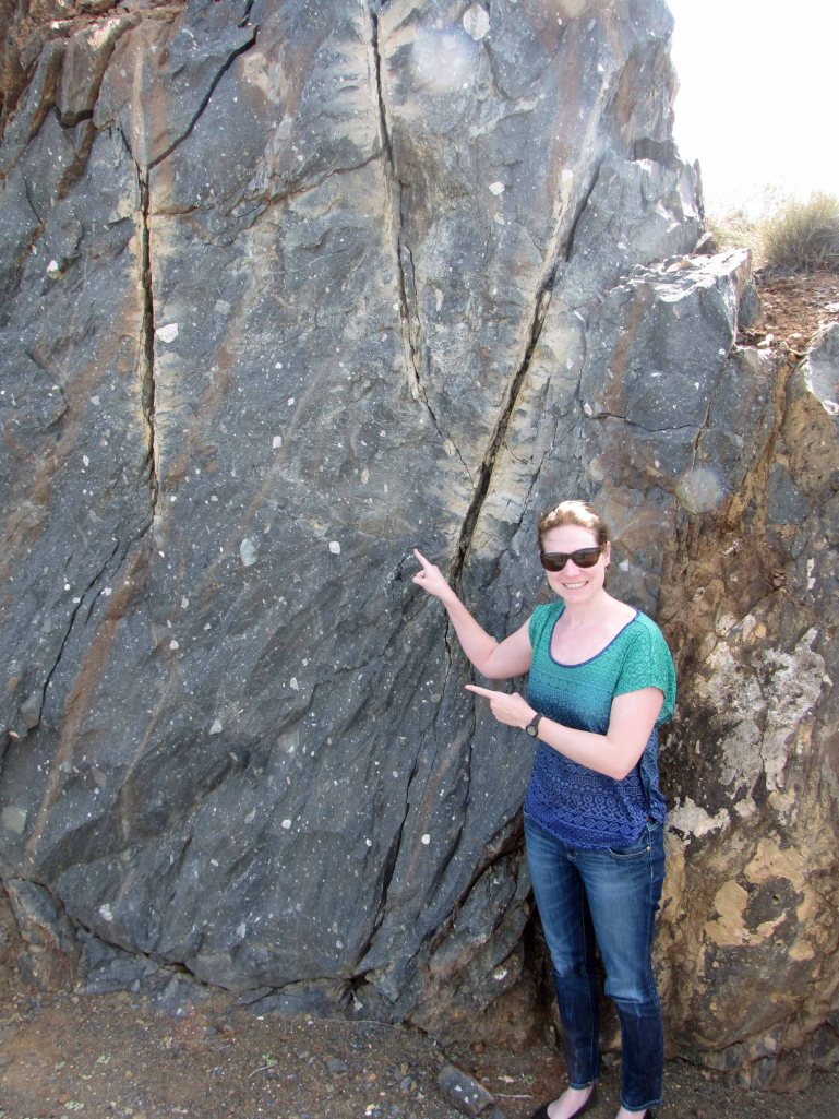 Look! Dwyka diamictite! 