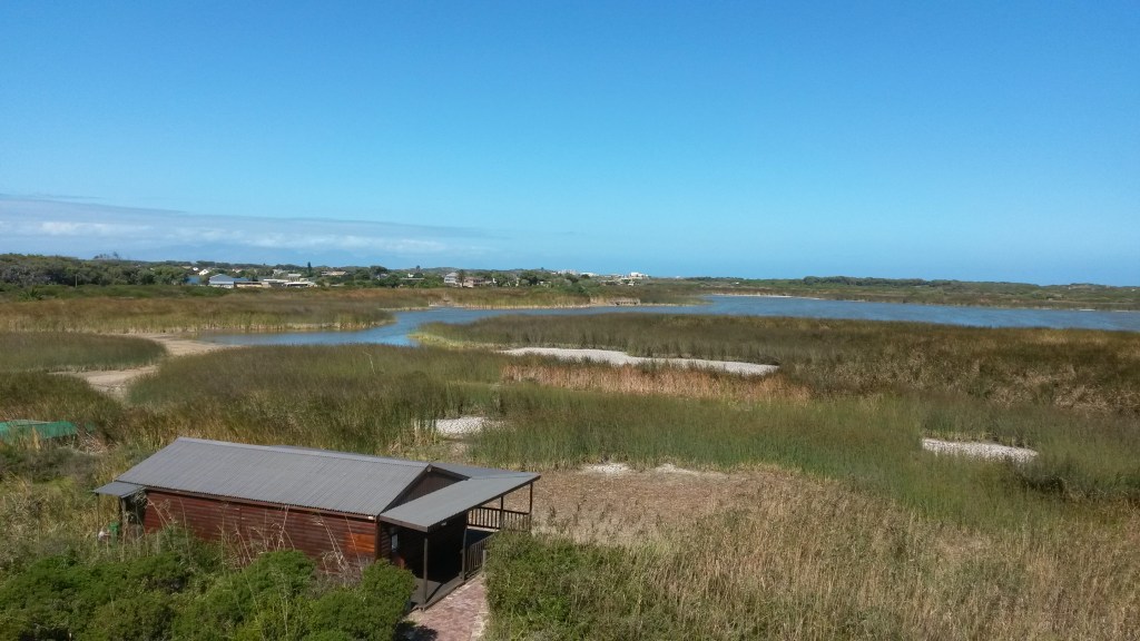 Another view of Rondevlei. This picture was taken from one of the observation towers on the nature reserve. 