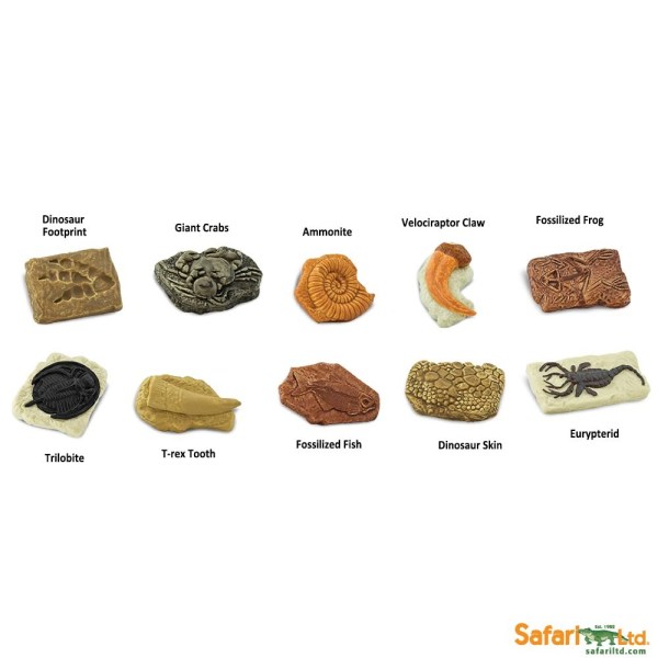 Another view of the Ancient Fossils TOOB. Picture from www.safariltd.com. 