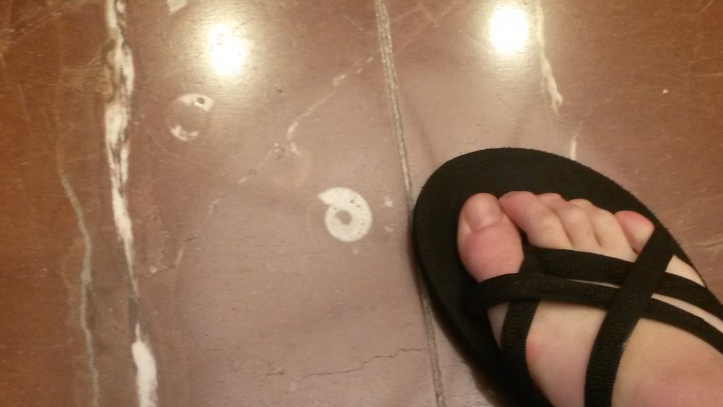 Here's a close-up view of one of the fossils, with my foot for scale. 