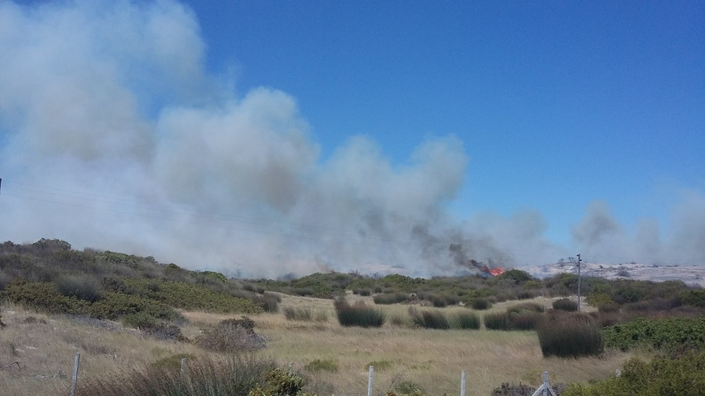 A small fire raging along the West Coast of South Africa. 