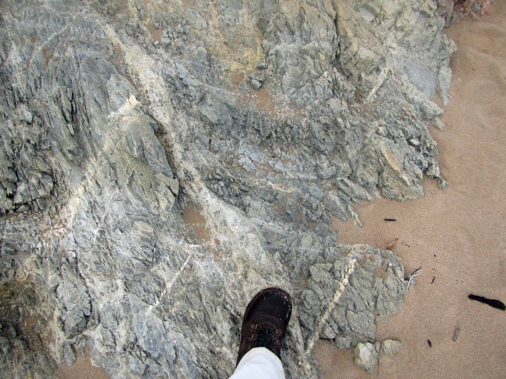 A close-up of some beach rocks. 