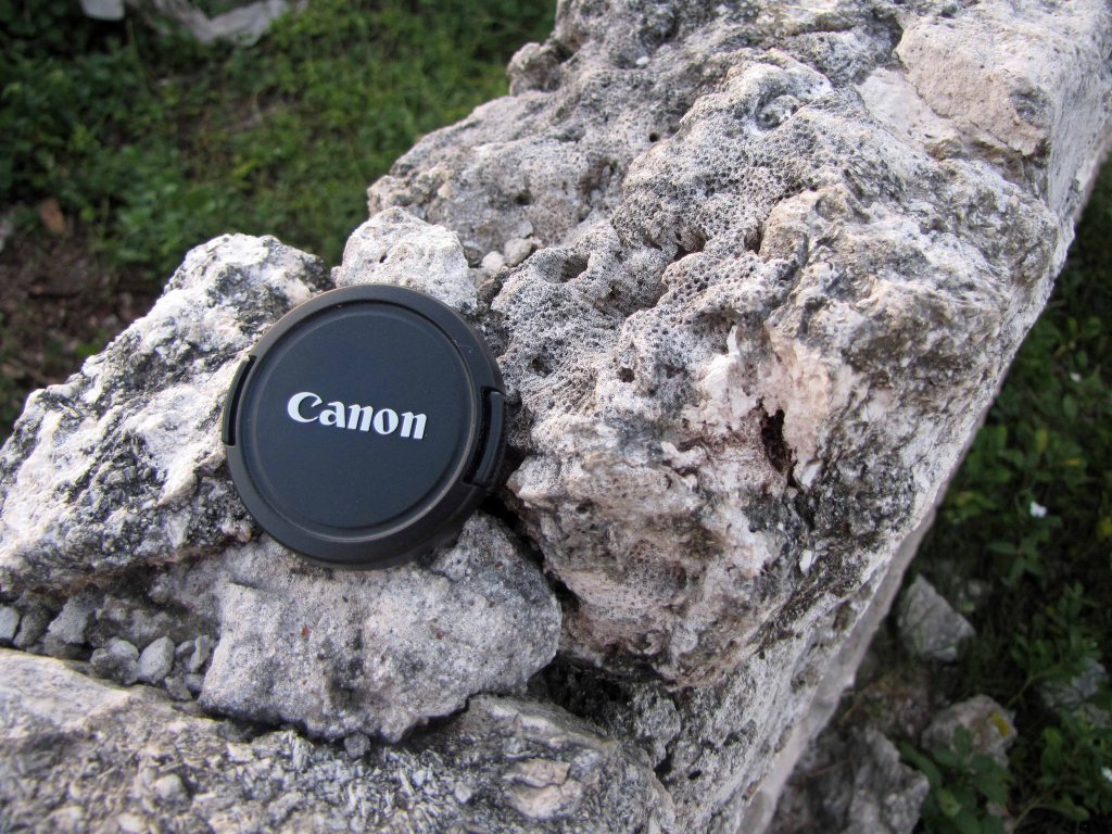 Close-up of a coral building stone in Matemwe. 