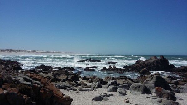Granitoid beach rocks, Langebaan, January 2016. 