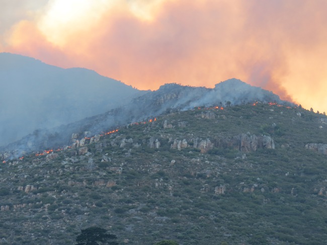 Hout Bay Fire #4. Picture courtesy of Nils Backeberg. 