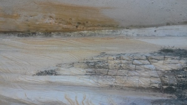 Sydney Sandstone #8. 