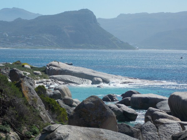 Boulders Beach, Simonstown, South Africa. 