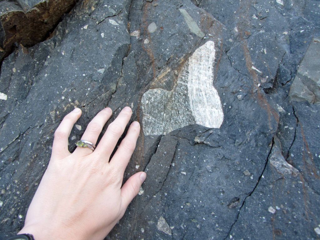Dwyka diamictite clasts #5. That black and white clast is worth a closer look. 