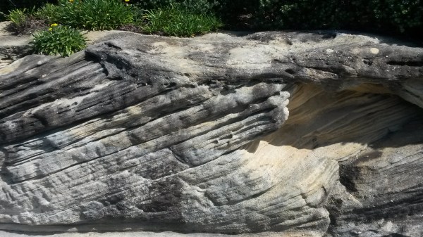 Sydney Sandstone #21. 