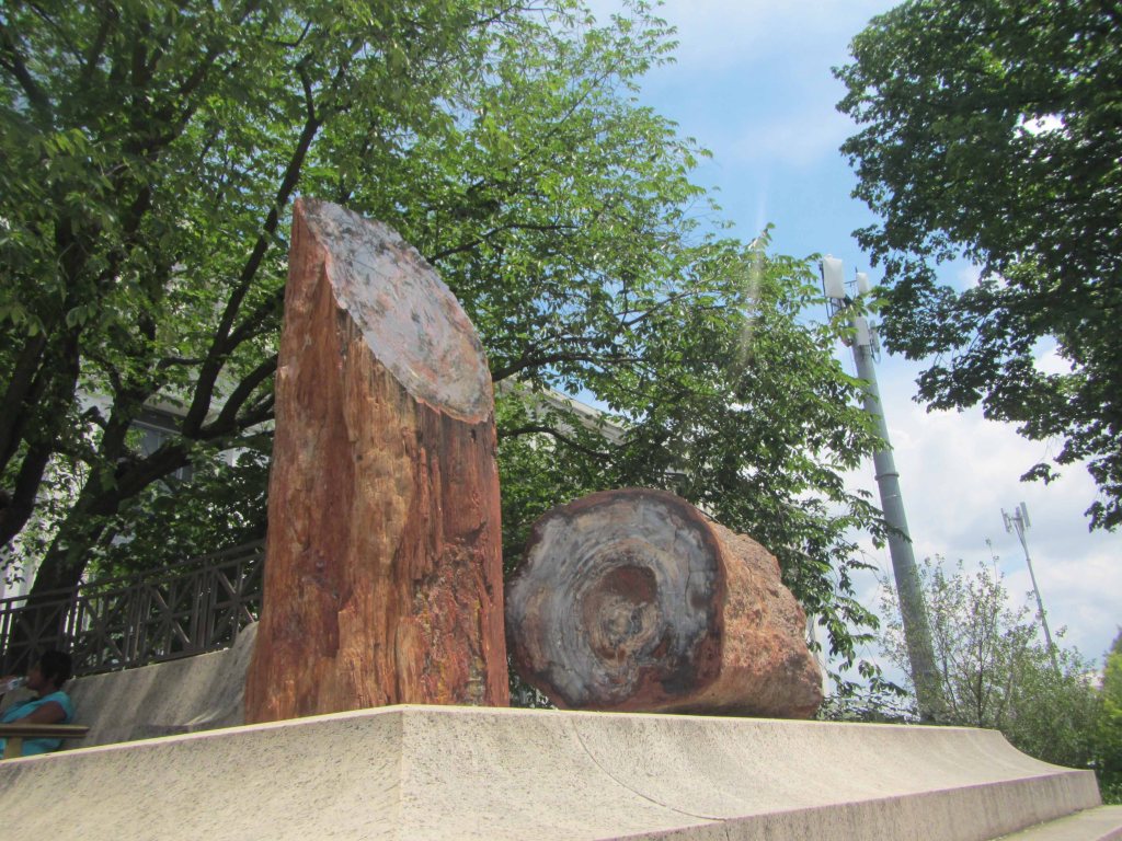 Petrified wood in front of the Smithsonian Natural History Museum, June 2014. 