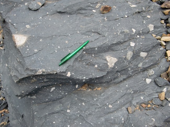 Another view of Dwyka tillite. Picture courtesy of Stephanie Scheiber. 