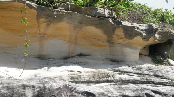 Sydney Sandstone #19. 