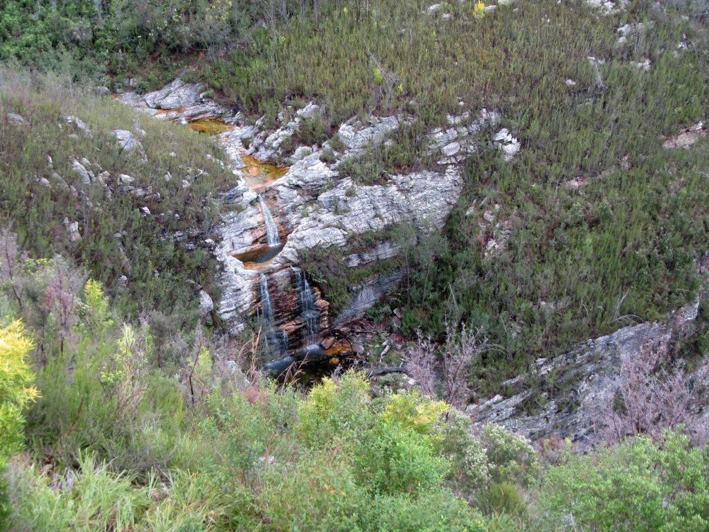 This picture is worth putting in two blog posts! 