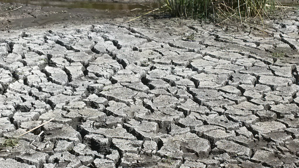 A close-up view of some mudcracks and salt accumulations. 