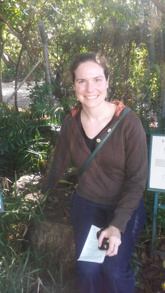 Sitting on a petrified log. 